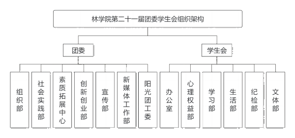 雷竞技raybet官网版下载第二十一届团委学生会组织架构(1).png